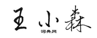駱恆光王小森行書個性簽名怎么寫