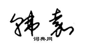 朱錫榮韓嘉草書個性簽名怎么寫