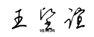 梁錦英王堅誼草書個性簽名怎么寫