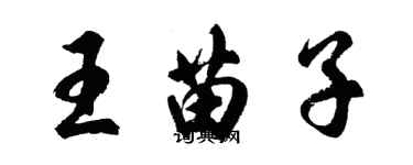 胡問遂王苗子行書個性簽名怎么寫