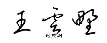 梁錦英王雲野草書個性簽名怎么寫