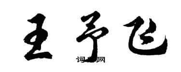 胡問遂王予飛行書個性簽名怎么寫