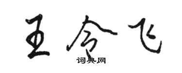 駱恆光王令飛行書個性簽名怎么寫