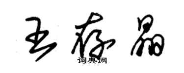 朱錫榮王存晶草書個性簽名怎么寫