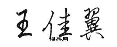 駱恆光王佳翼行書個性簽名怎么寫