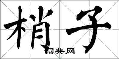 翁闓運梢子楷書怎么寫
