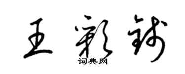 梁錦英王彩錢草書個性簽名怎么寫