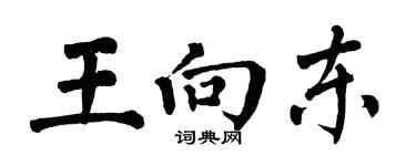 翁闓運王向東楷書個性簽名怎么寫
