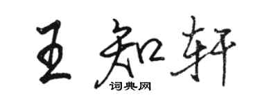 駱恆光王知軒行書個性簽名怎么寫