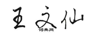 駱恆光王文仙行書個性簽名怎么寫