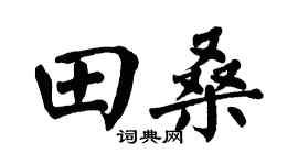 翁闓運田桑楷書個性簽名怎么寫