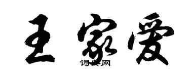 胡問遂王家愛行書個性簽名怎么寫