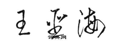 駱恆光王聖海草書個性簽名怎么寫