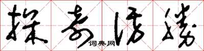 劉少英探奇訪勝草書怎么寫