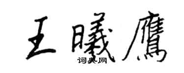 王正良王曦鷹行書個性簽名怎么寫