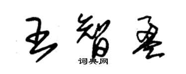 朱錫榮王智盈草書個性簽名怎么寫