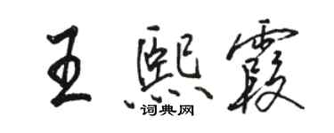 駱恆光王熙霞行書個性簽名怎么寫