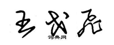 朱錫榮王戈飛草書個性簽名怎么寫