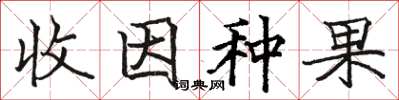 駱恆光收因種果楷書怎么寫