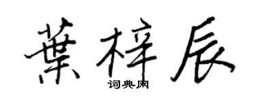 王正良葉梓辰行書個性簽名怎么寫