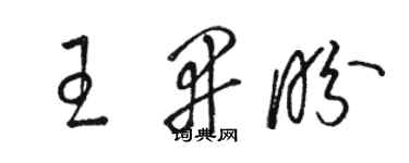 駱恆光王開盼草書個性簽名怎么寫