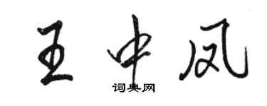 駱恆光王中鳳行書個性簽名怎么寫