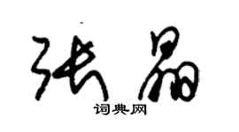 朱錫榮張晶草書個性簽名怎么寫