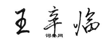 駱恆光王辛臨行書個性簽名怎么寫