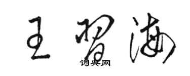 駱恆光王習海草書個性簽名怎么寫