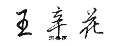 駱恆光王辛花行書個性簽名怎么寫