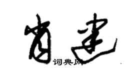 朱錫榮肖建草書個性簽名怎么寫