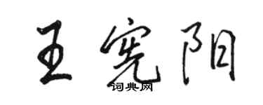 駱恆光王憲陽行書個性簽名怎么寫