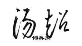 駱恆光湯超草書個性簽名怎么寫