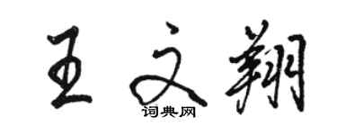 駱恆光王文翔行書個性簽名怎么寫