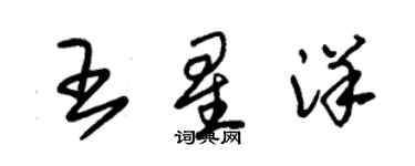 朱錫榮王星洋草書個性簽名怎么寫