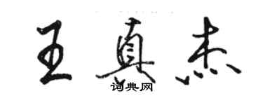 駱恆光王真傑行書個性簽名怎么寫