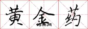 侯登峰黃金藥楷書怎么寫