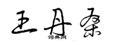 曾慶福王丹桑草書個性簽名怎么寫