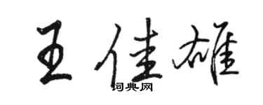 駱恆光王佳雄行書個性簽名怎么寫