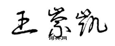 曾慶福王崇凱草書個性簽名怎么寫