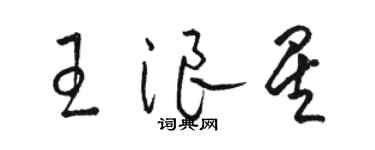 駱恆光王浪星草書個性簽名怎么寫