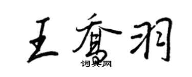 王正良王喬羽行書個性簽名怎么寫