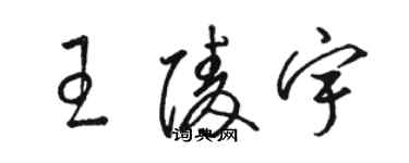 駱恆光王陵宇草書個性簽名怎么寫