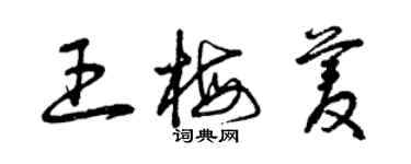 曾慶福王梅菱草書個性簽名怎么寫