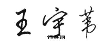 駱恆光王宇葦行書個性簽名怎么寫