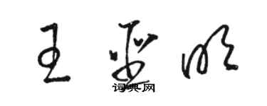 駱恆光王聖明草書個性簽名怎么寫