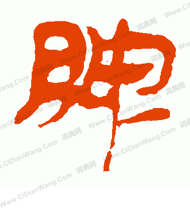 馬王堆帛書寫的脾