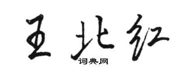 駱恆光王北紅行書個性簽名怎么寫