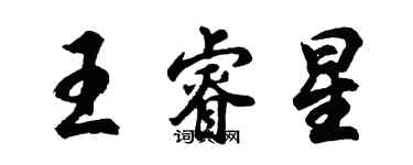 胡問遂王睿星行書個性簽名怎么寫