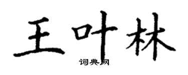 丁謙王葉林楷書個性簽名怎么寫